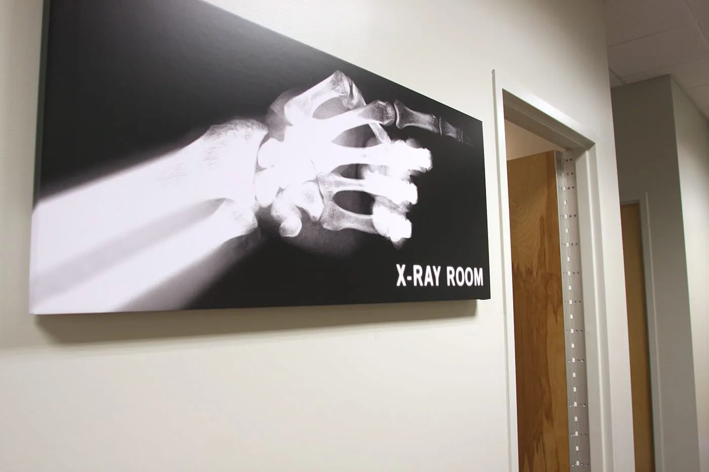 Ortho On Call, image 4