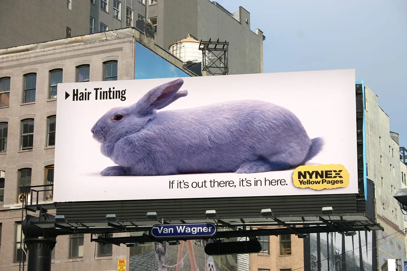 Nynex, image 13