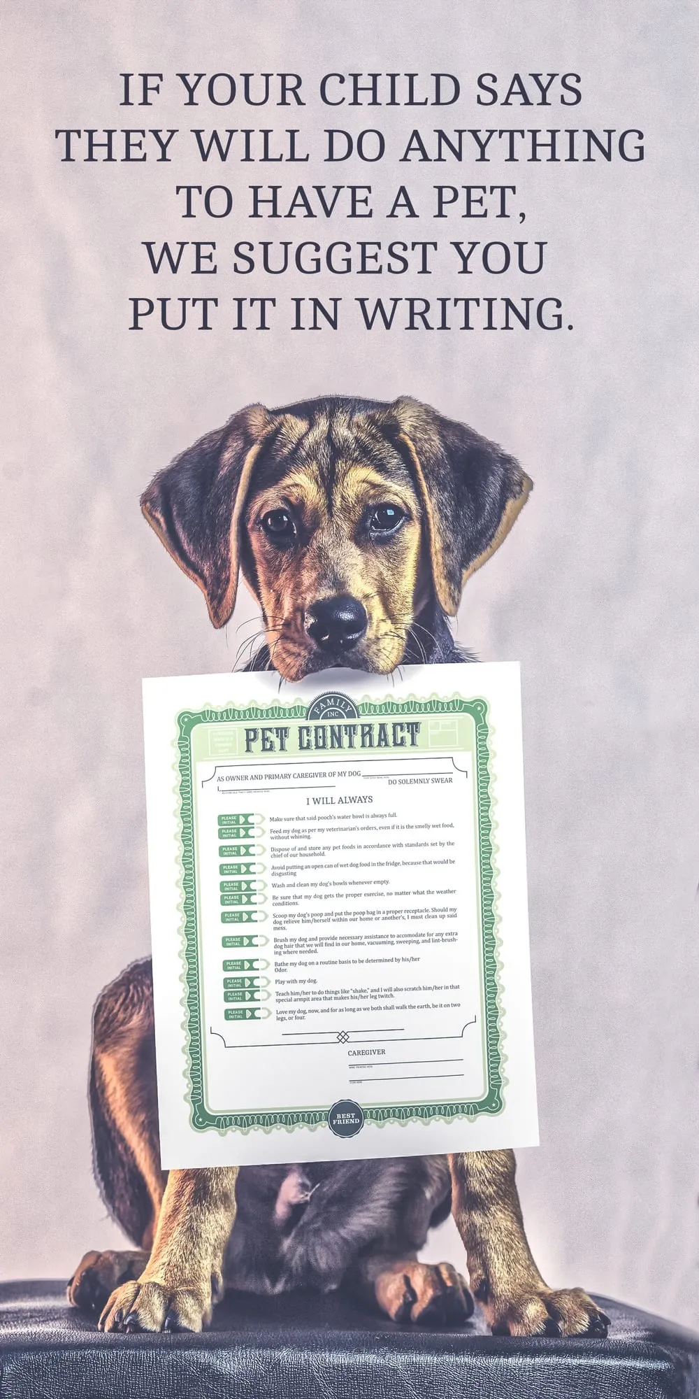 Pet Contract, image 3