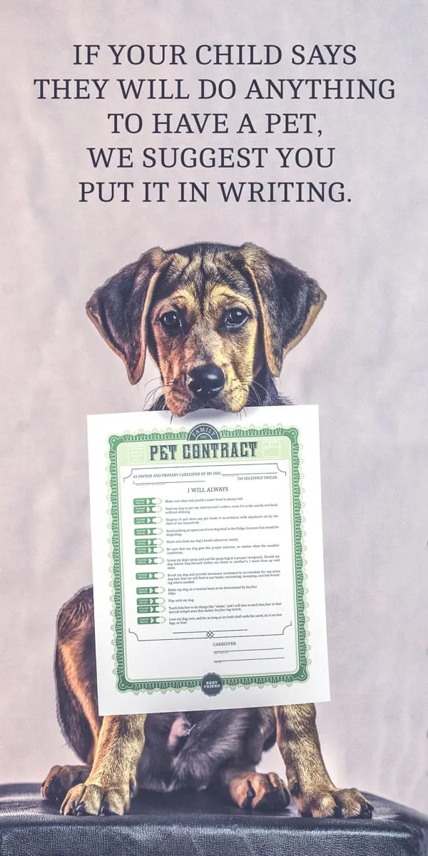Pet Contract, image 3